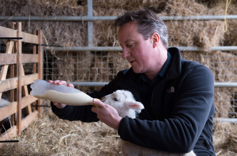 David Cameron kisses and feeds a lamb on Easter Sunday geotv.ge